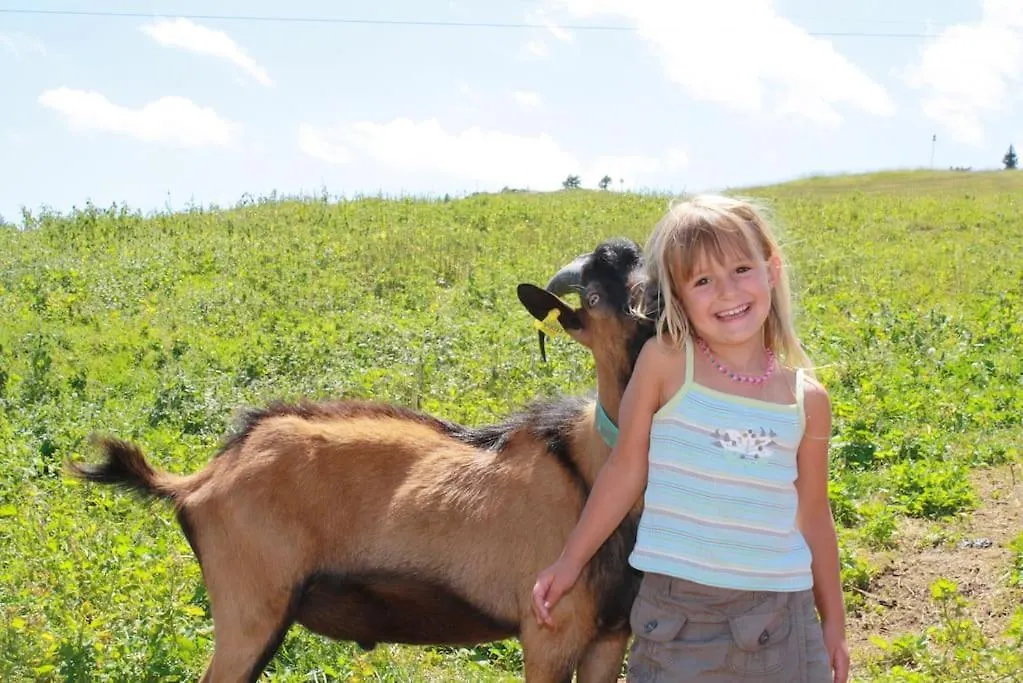 Hébergement de vacances Gite Du Penon - Aillon-Le-Jeune, Margeriaz - Maison De Village